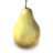 梨 Pear